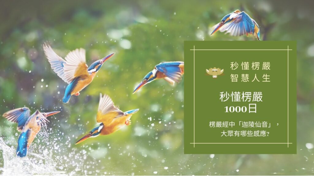 楞嚴經_秒懂楞嚴一千日 楞嚴經_秒懂楞嚴一千日